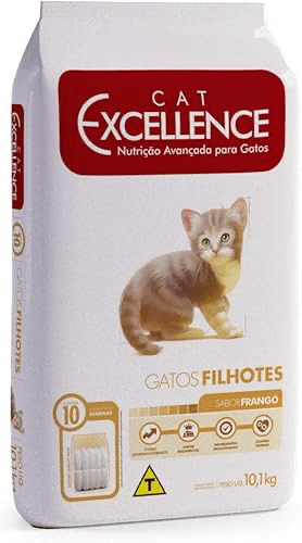 Excellence Filhote Gatos