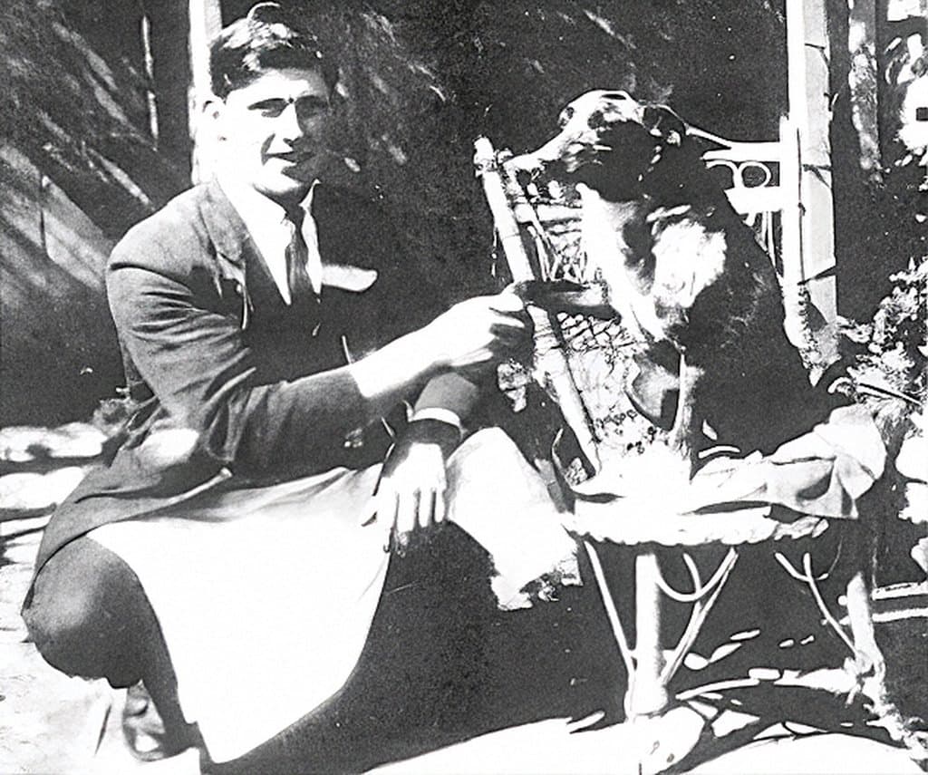 Cão Mais Longevo do Mundo: o Recorde Guinness de Bluey