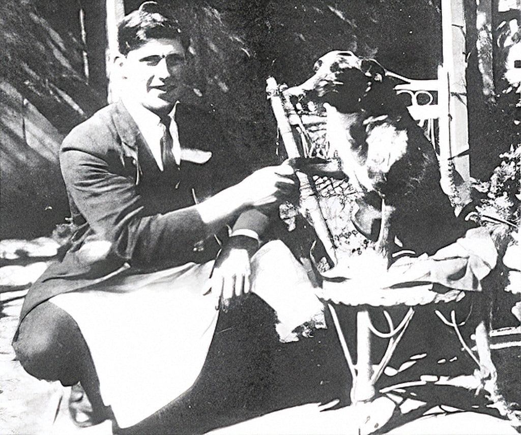 Cão Mais Longevo do Mundo: o Recorde Guinness de Bluey